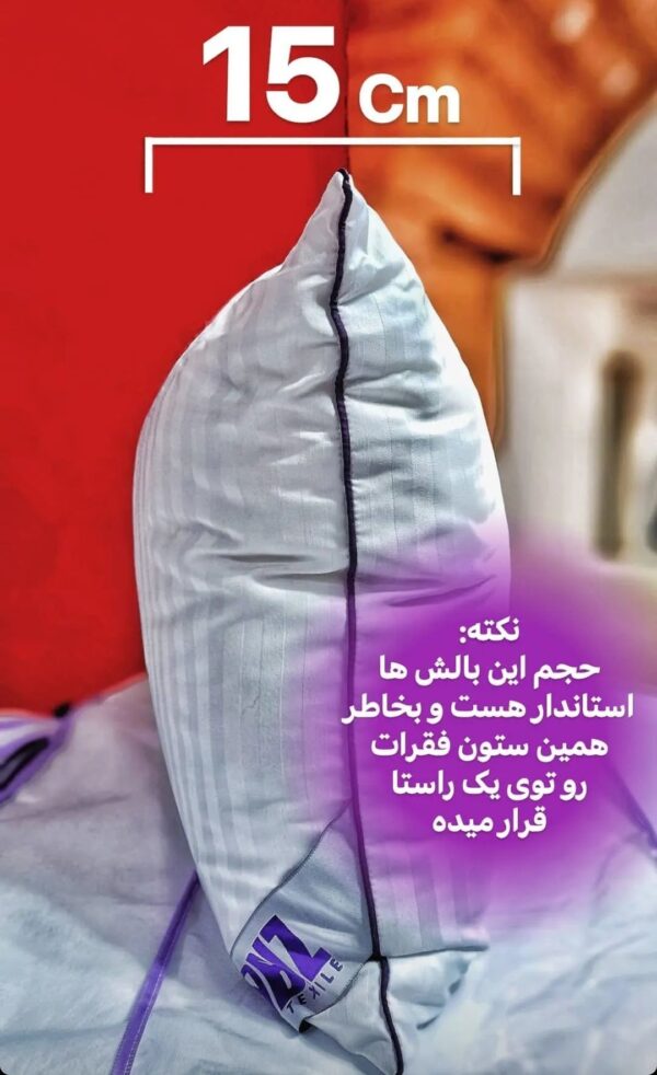 بالشت طبی میکروفایبر دکتر بیز - Image 5